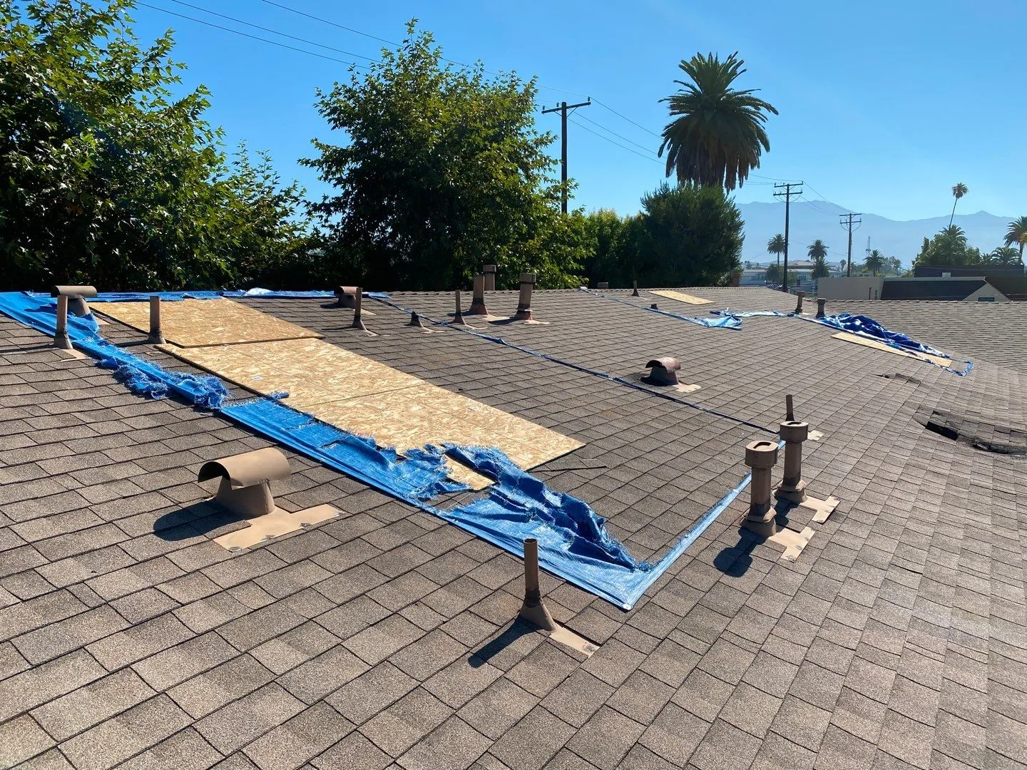 Roof Mitigation Blue Tarp Shingle Roof OSB Patch from Hemet apartment fire smoke damage restoration documentation - photo 115 of 180