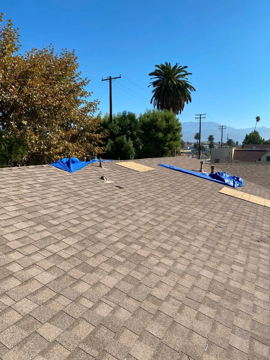 Roof Mitigation Blue Tarp Shingle Roof OSB Patch from Hemet apartment fire smoke damage restoration documentation - photo 124 of 180