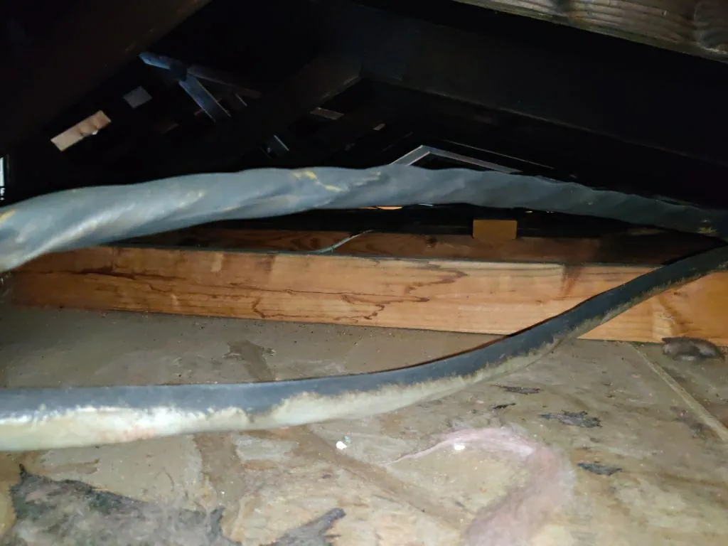 Wall Vent Ceiling Appliance Soot from Hemet apartment fire smoke damage restoration documentation - photo 14 of 180