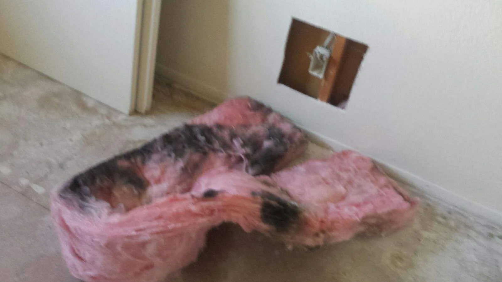 Technical Inspection Insulation Removal Wall Cavity from Hemet apartment fire smoke damage restoration documentation - photo 157 of 180