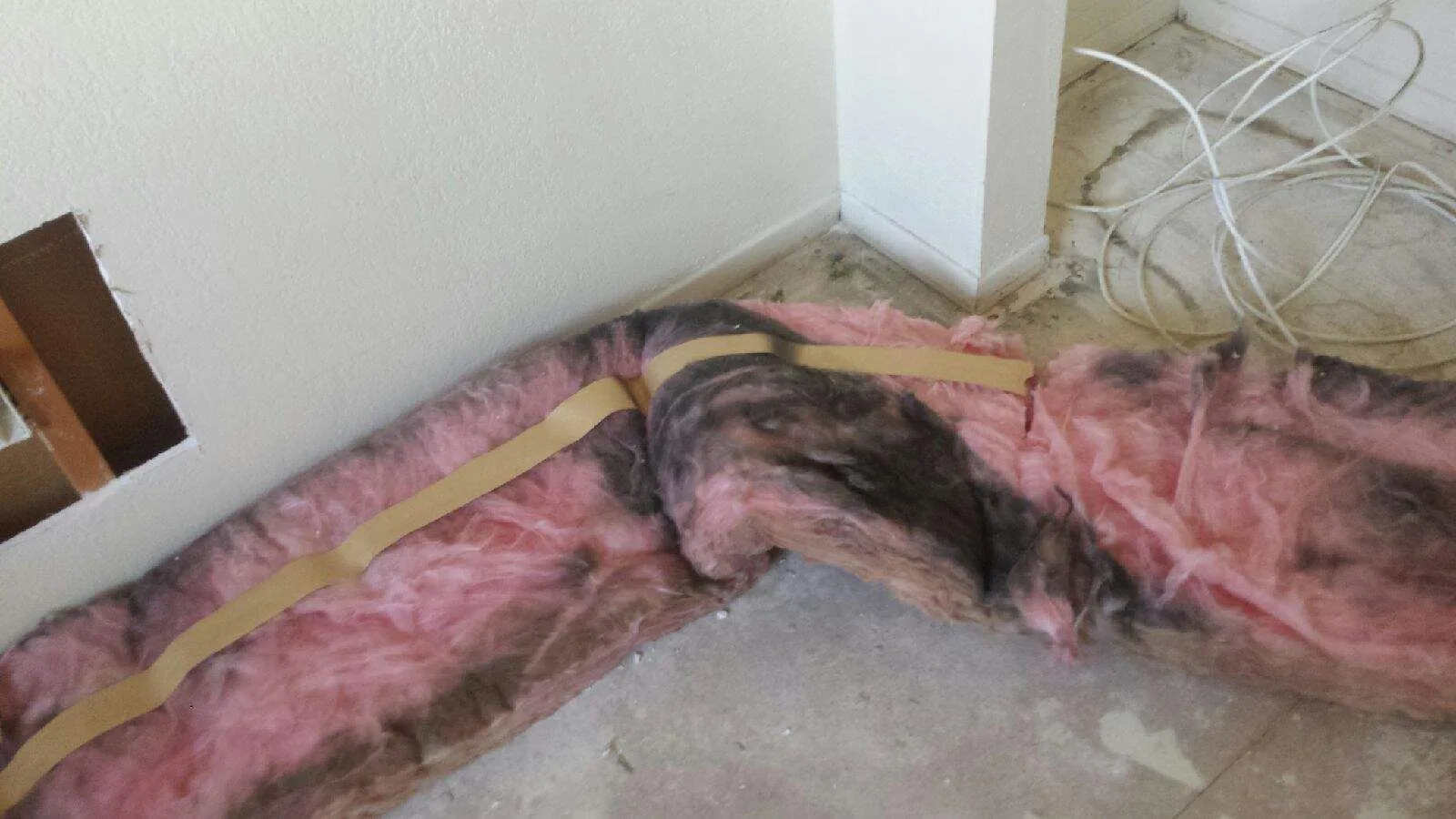 Technical Inspection Insulation Removal Wall Cavity from Hemet apartment fire smoke damage restoration documentation - photo 158 of 180