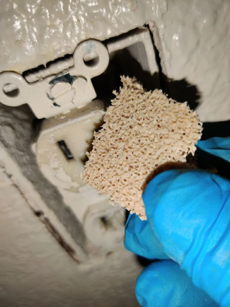 Electrical Inspection Outlet Wiring Carpet Edge Soot from Hemet apartment fire smoke damage restoration documentation - photo 166 of 180