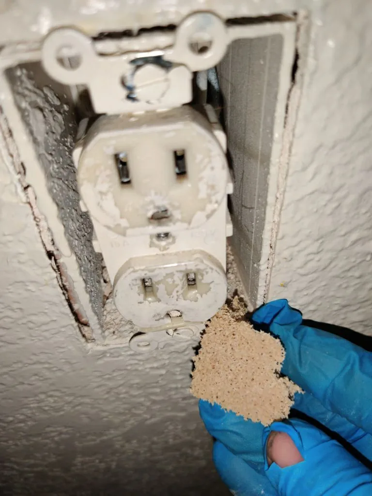 Electrical Inspection Outlet Wiring Carpet Edge Soot from Hemet apartment fire smoke damage restoration documentation - photo 167 of 180