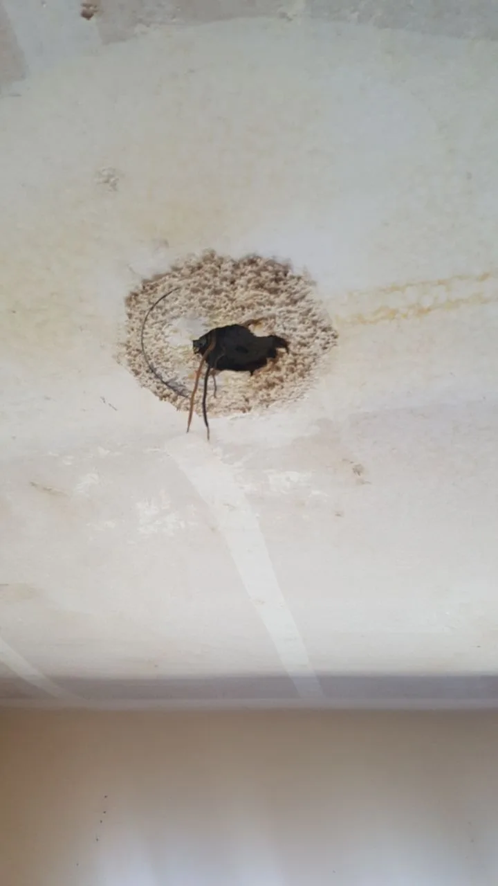 Ceiling Electrical Damage Light Box Wiring Soot Staining from Hemet apartment fire smoke damage restoration documentation - photo 176 of 180