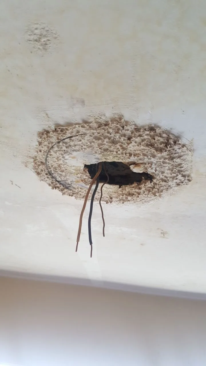 Ceiling Electrical Damage Light Box Wiring Soot Staining from Hemet apartment fire smoke damage restoration documentation - photo 177 of 180