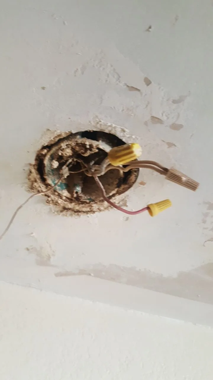 Ceiling Electrical Damage Light Box Wiring Soot Staining from Hemet apartment fire smoke damage restoration documentation - photo 180 of 180