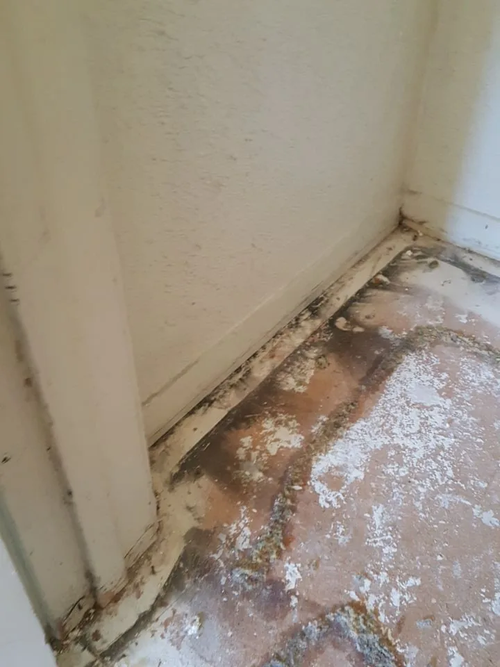 Baseboard Outlet Water Heater Soot from Hemet apartment fire smoke damage restoration documentation - photo 21 of 180