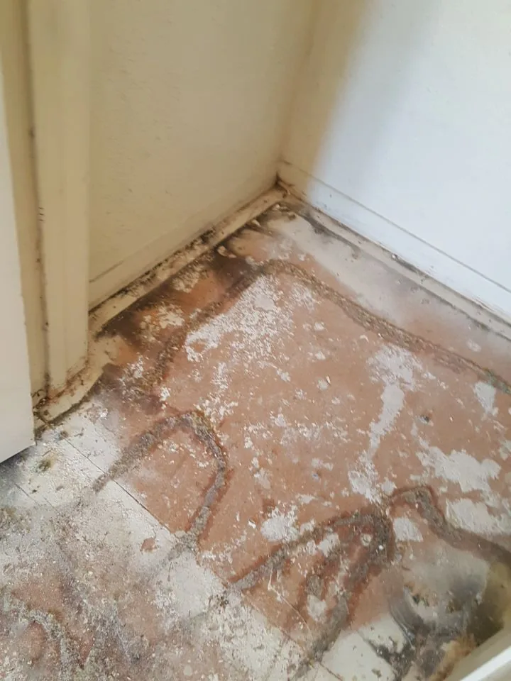 Baseboard Outlet Water Heater Soot from Hemet apartment fire smoke damage restoration documentation - photo 23 of 180