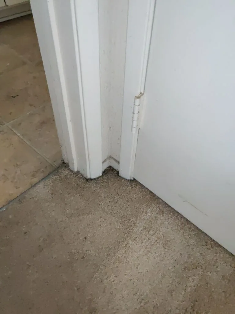 Outlet Cover Removal Exposed Wiring from Hemet apartment fire smoke damage restoration documentation - photo 49 of 180