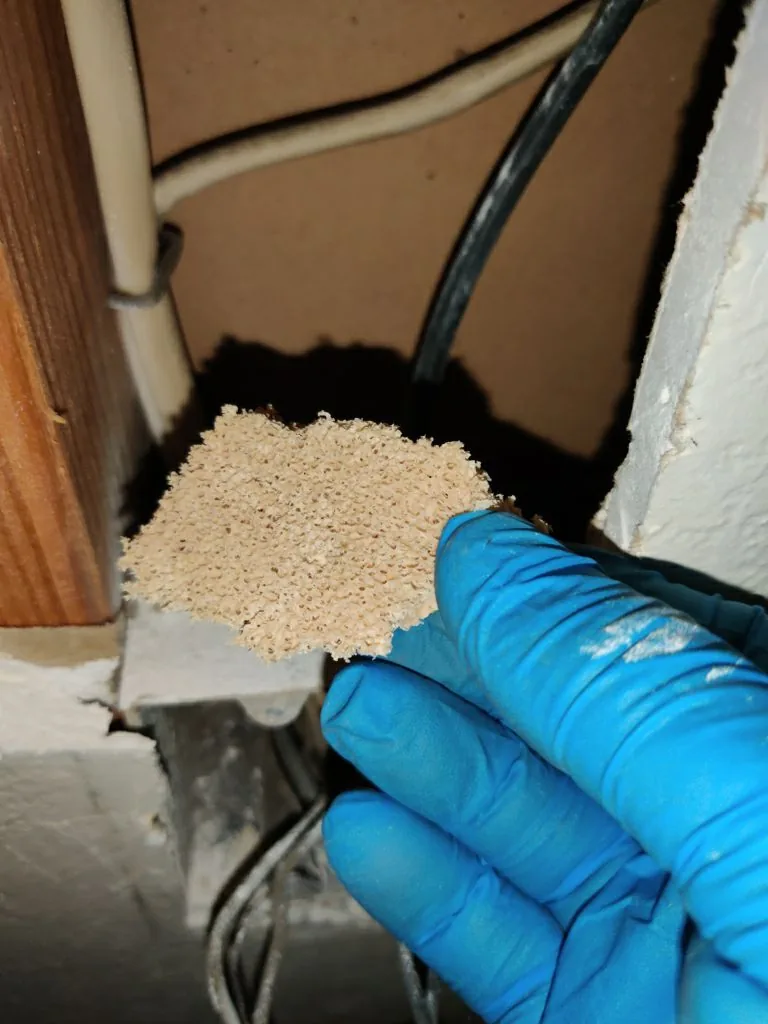 Wiring Wall Cavity Material Sampling from Hemet apartment fire smoke damage restoration documentation - photo 53 of 180
