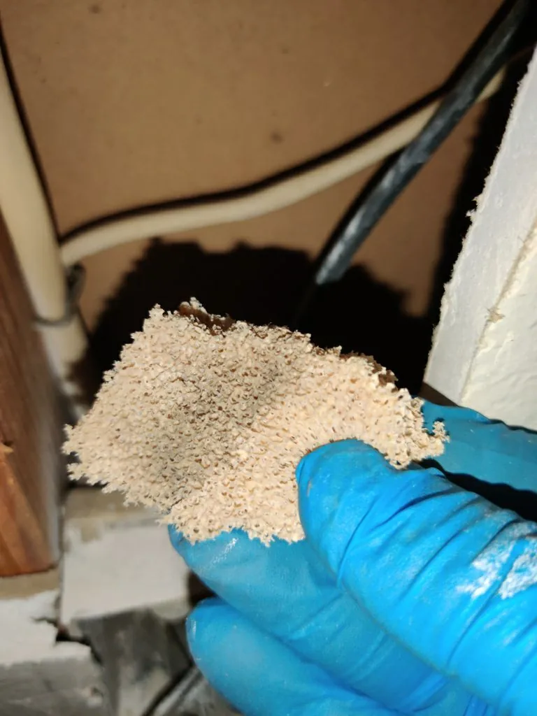Wiring Wall Cavity Material Sampling from Hemet apartment fire smoke damage restoration documentation - photo 54 of 180