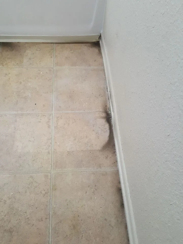 Wall Switch Floor Edge Staining from Hemet apartment fire smoke damage restoration documentation - photo 65 of 180
