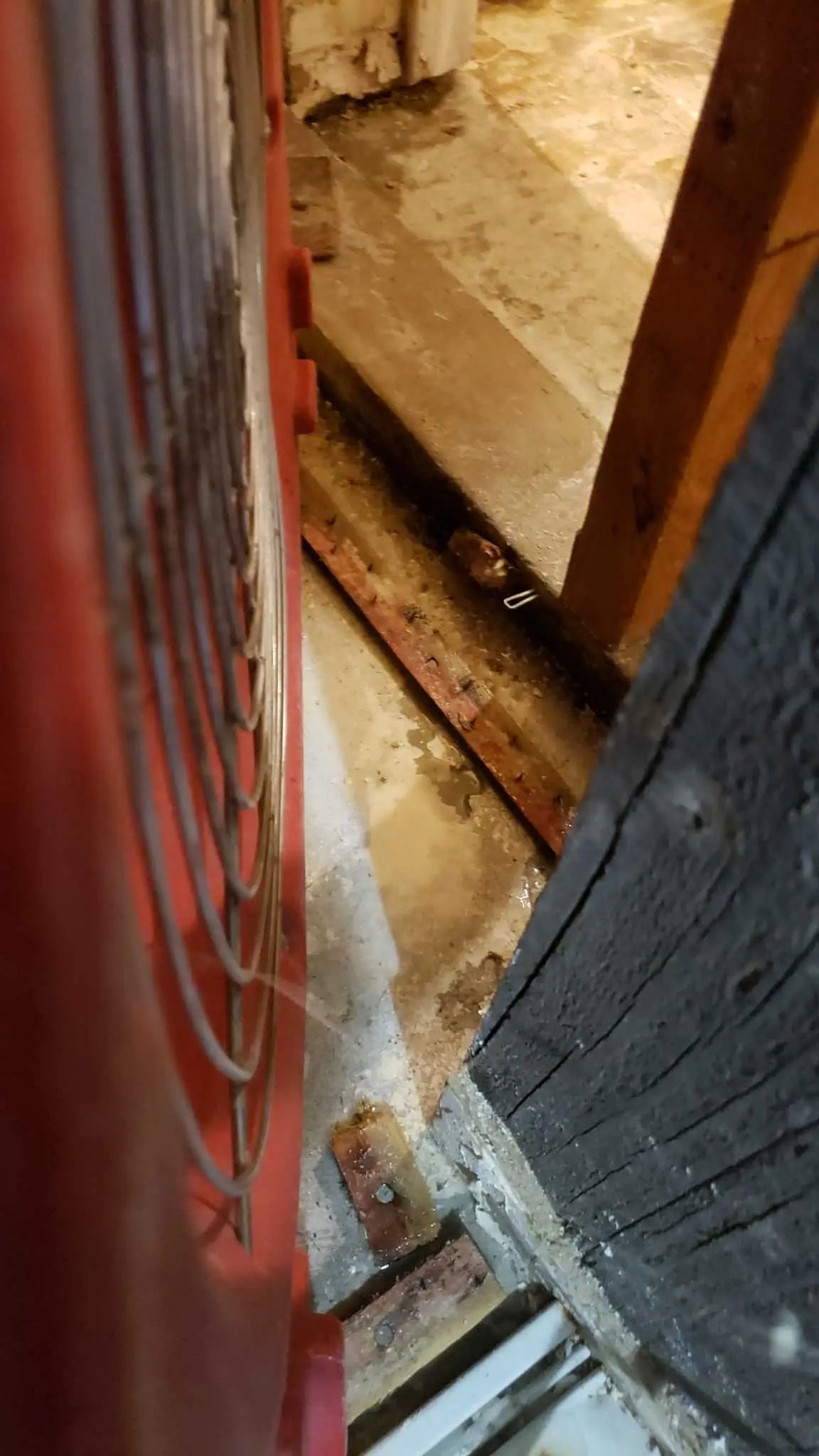Lake Elsinore repipe water damage mitigation project by PL Builders showing air mover drying open wall and floor edge