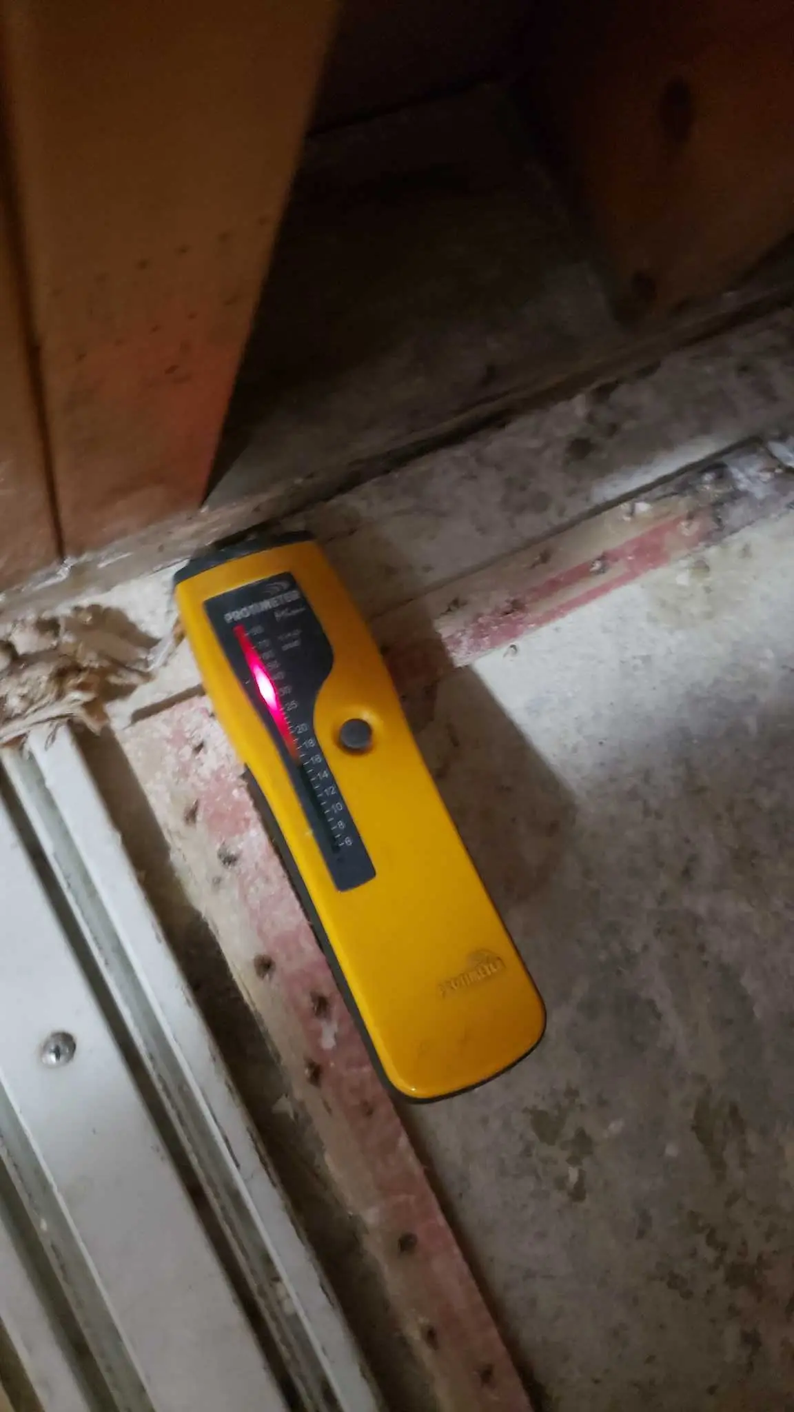 Lake Elsinore repipe water damage mitigation project by PL Builders showing moisture check at flooring and wall edge