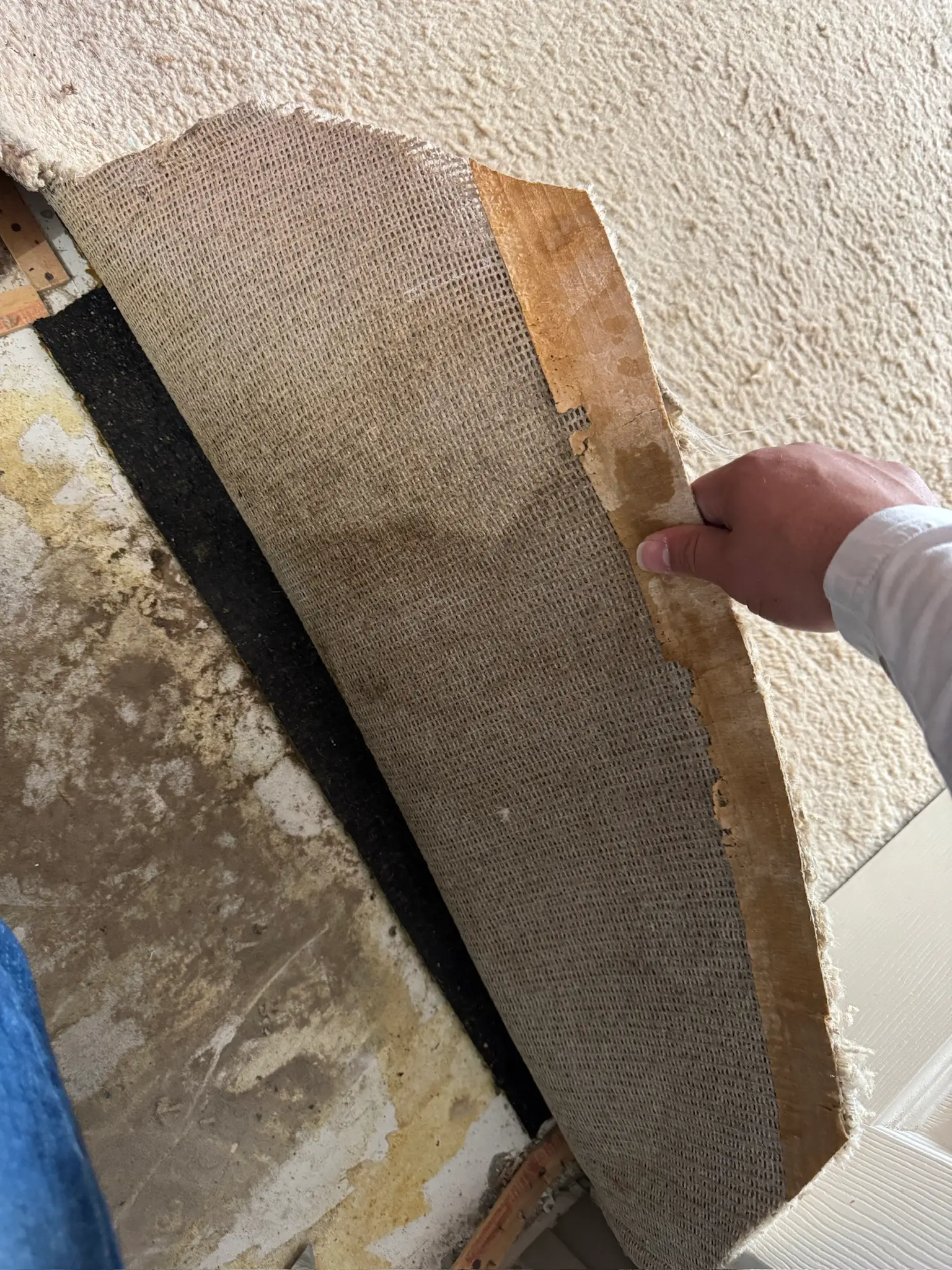 Carpet and pad water damage documentation 021 during Menifee water damage restoration project by PL Builders