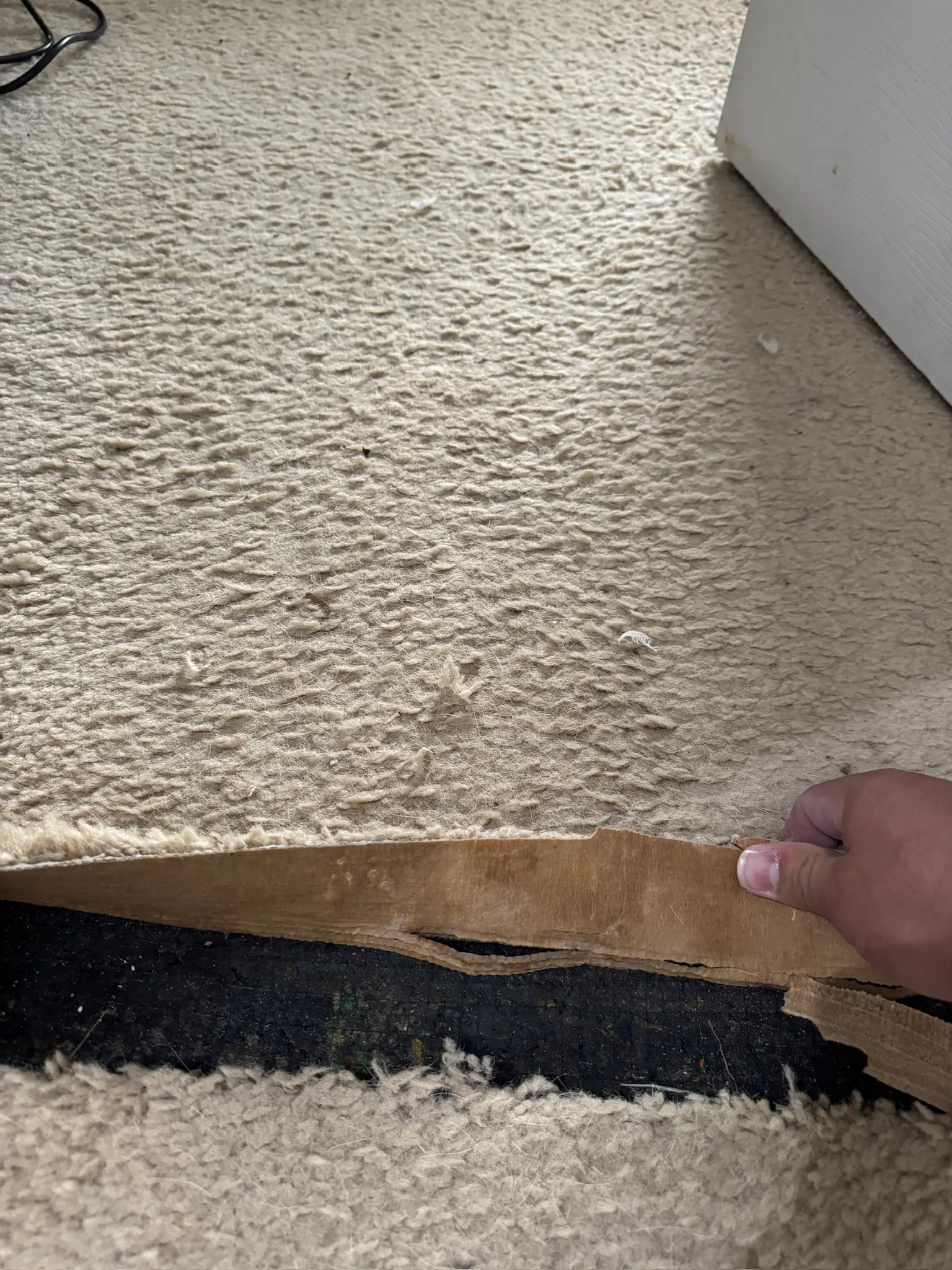 Carpet and pad water damage documentation 047 during Menifee water damage restoration project by PL Builders