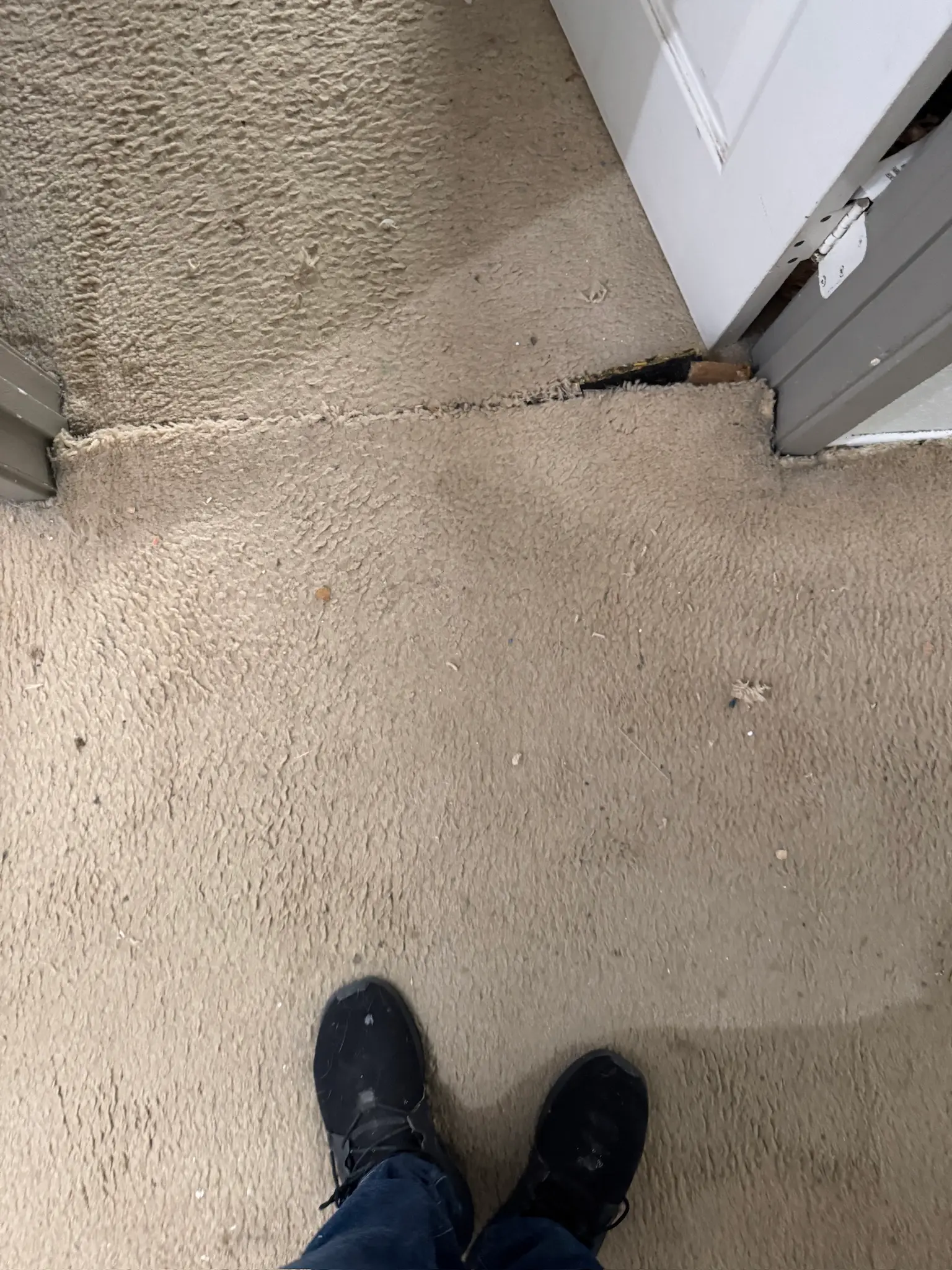 Carpet and pad water damage documentation 050 during Menifee water damage restoration project by PL Builders