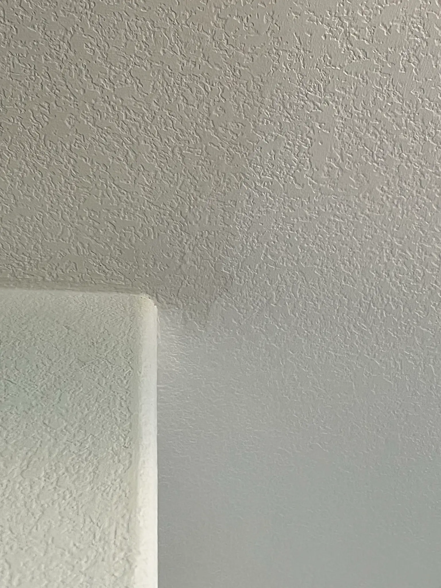 Menifee Water Damage Restoration project photo 27 from Menifee water damage restoration project by PL Builders