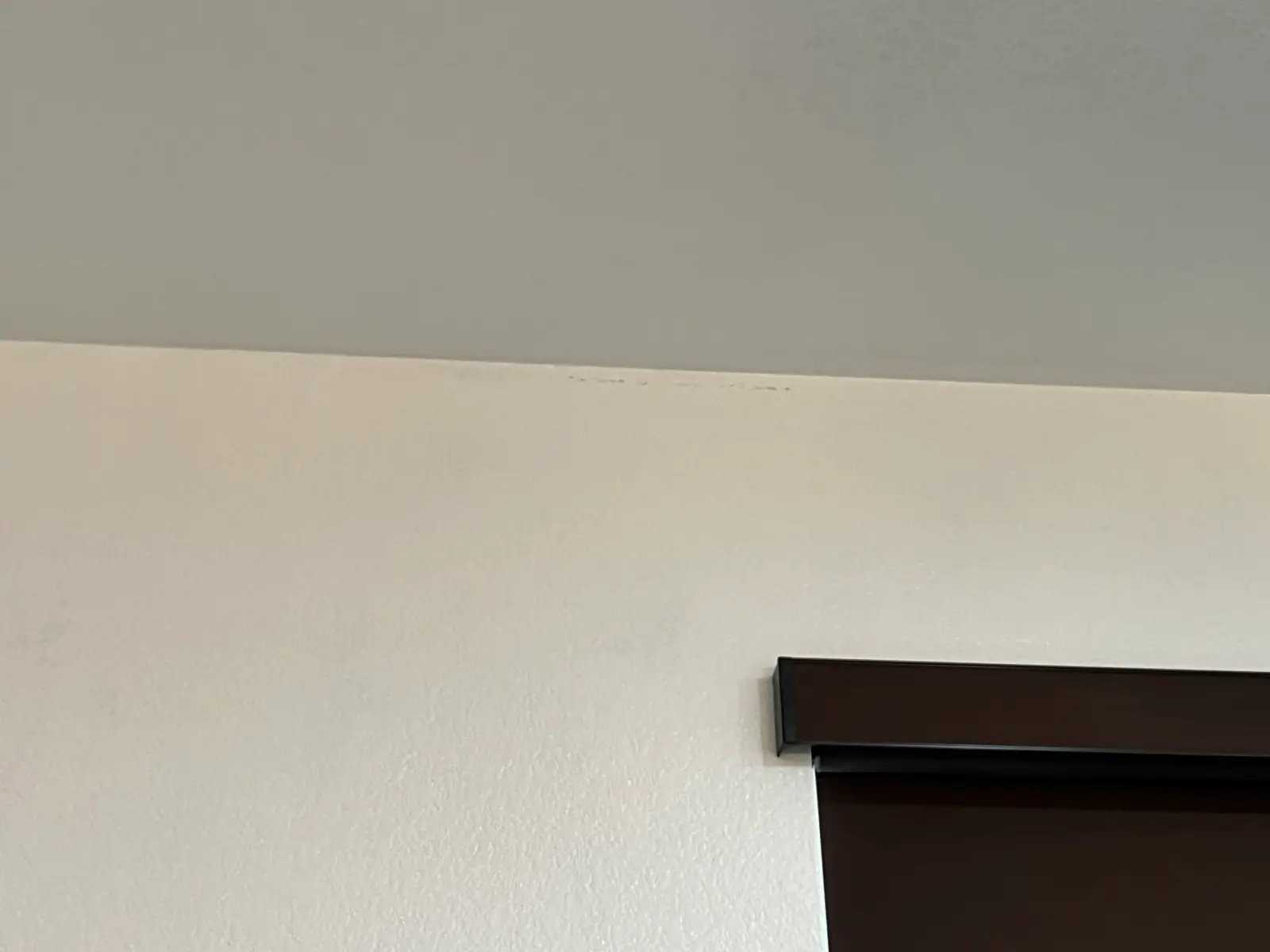 Menifee Water Damage Restoration project photo 29 from Menifee water damage restoration project by PL Builders