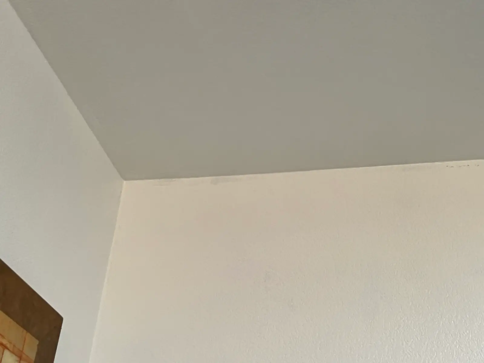 Menifee Water Damage Restoration project photo 30 from Menifee water damage restoration project by PL Builders