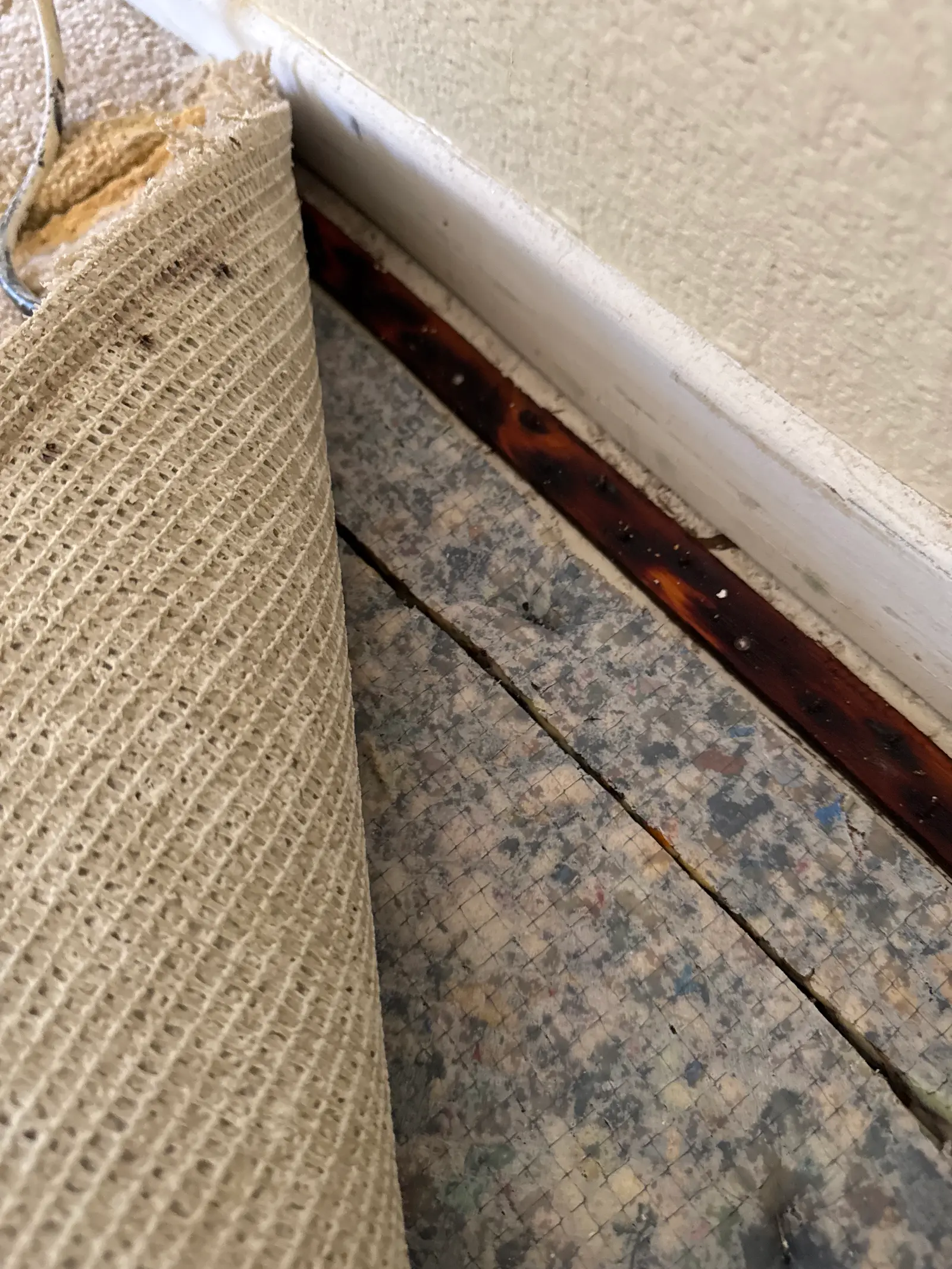 Murrieta AC Leak Water Damage Restoration project photo 26 from Murrieta water damage restoration project by PL Builders