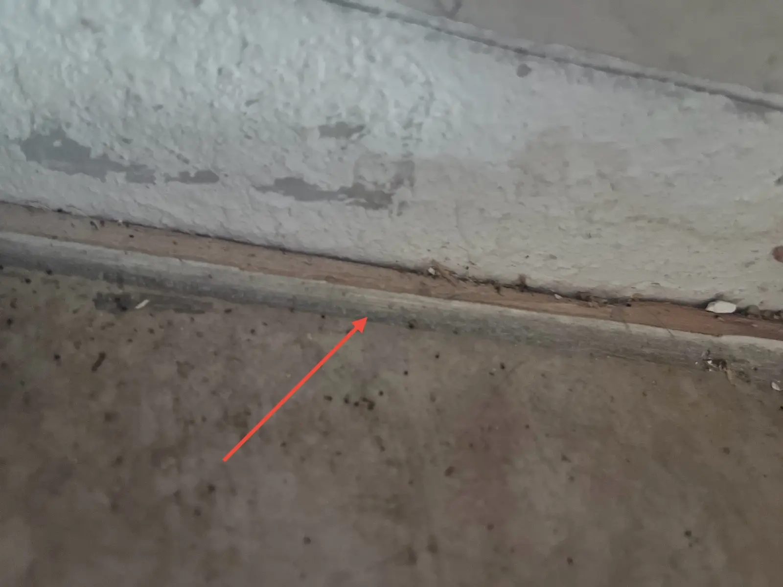 Lower-level ceiling and wall water damage documentation during Temecula water damage restoration project by PL Builders