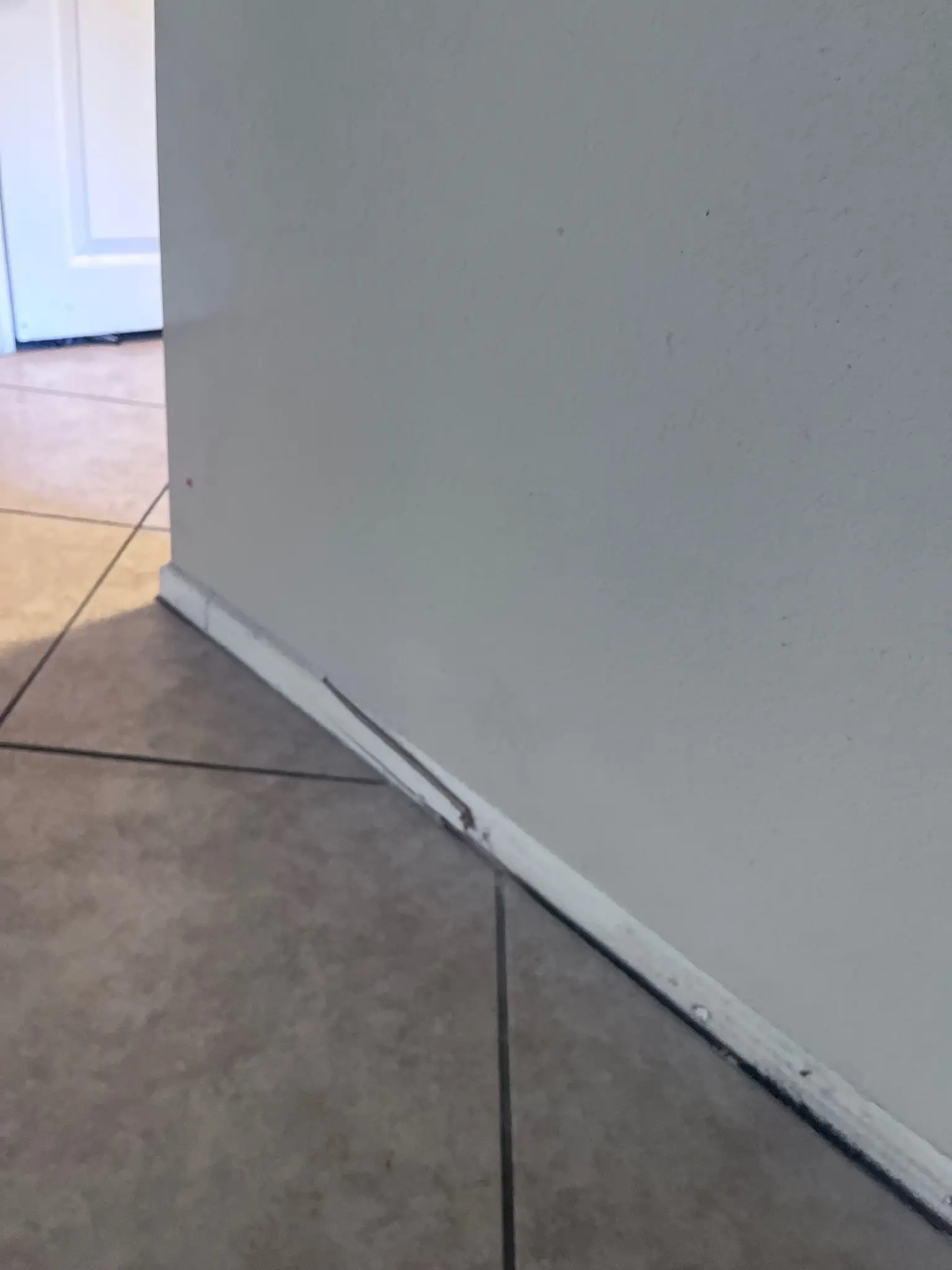 Wall base repair after water traveled below bathroom during Temecula water damage restoration project by PL Builders