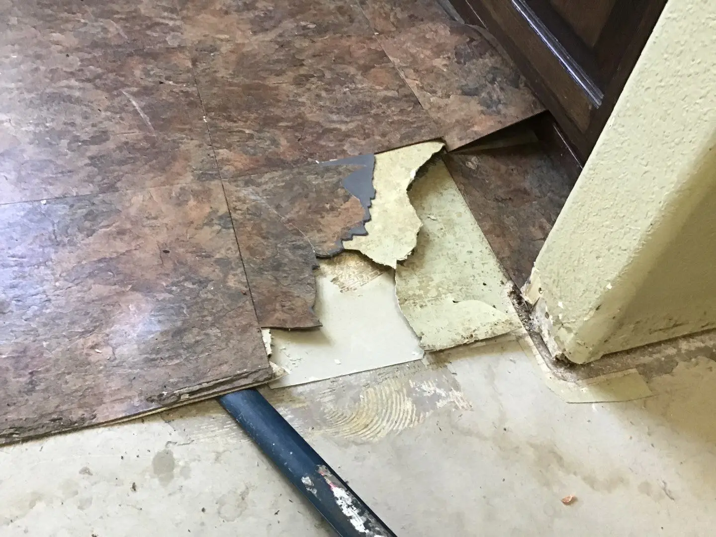 Documented damaged flooring, shower, or wall area 252 during Temecula water damage restoration project by PL Builders
