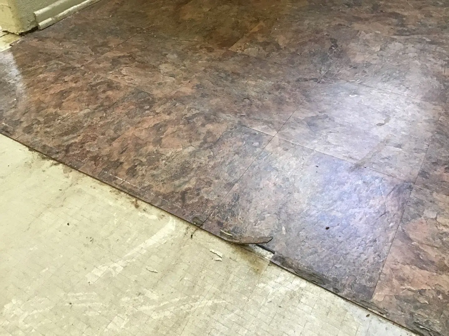 Documented damaged flooring, shower, or wall area 254 during Temecula water damage restoration project by PL Builders