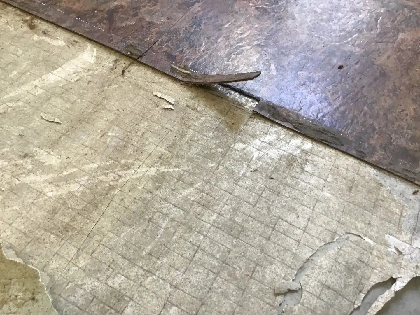 Documented damaged flooring, shower, or wall area 255 during Temecula water damage restoration project by PL Builders