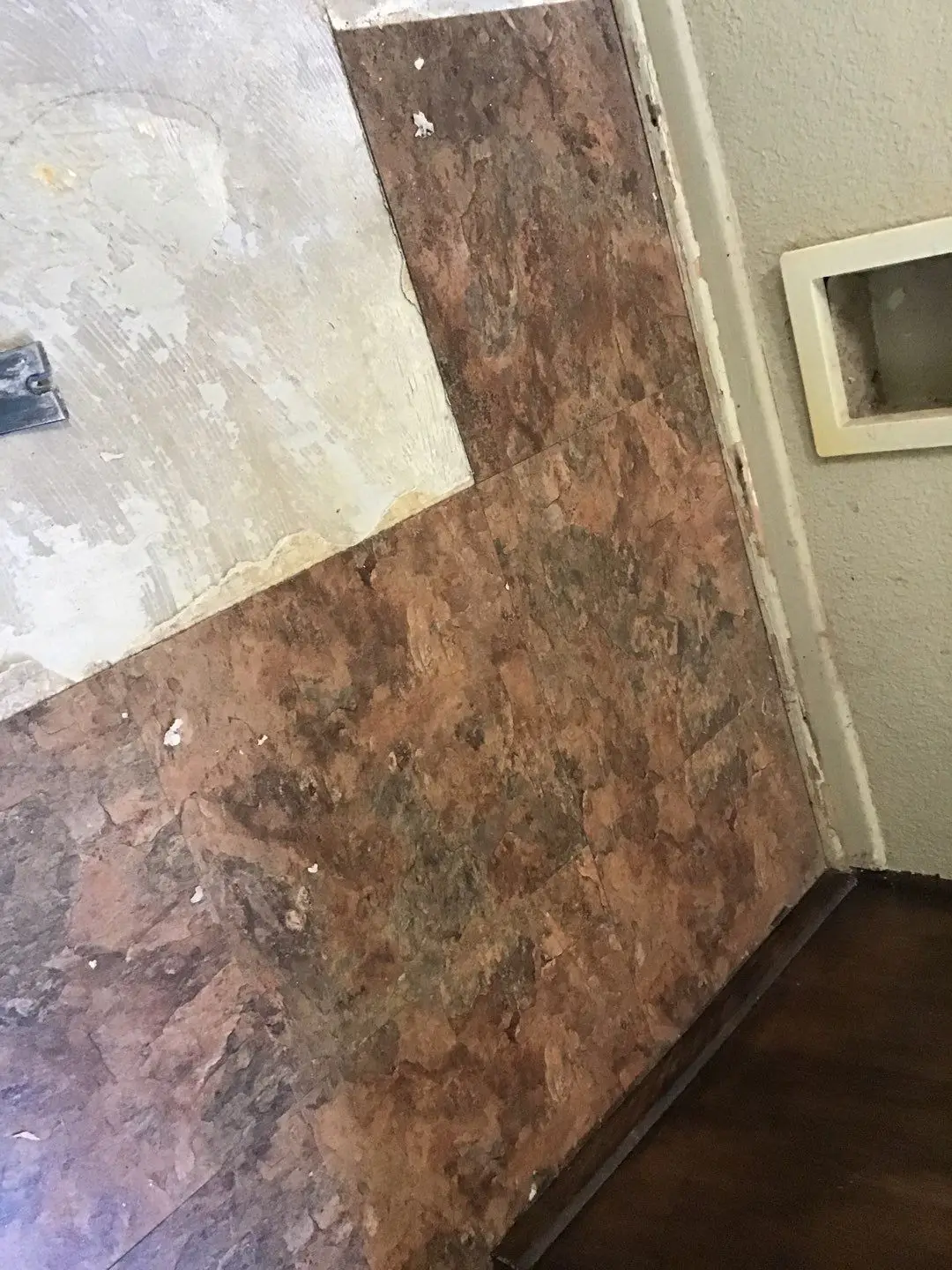 Documented damaged flooring, shower, or wall area 258 during Temecula water damage restoration project by PL Builders