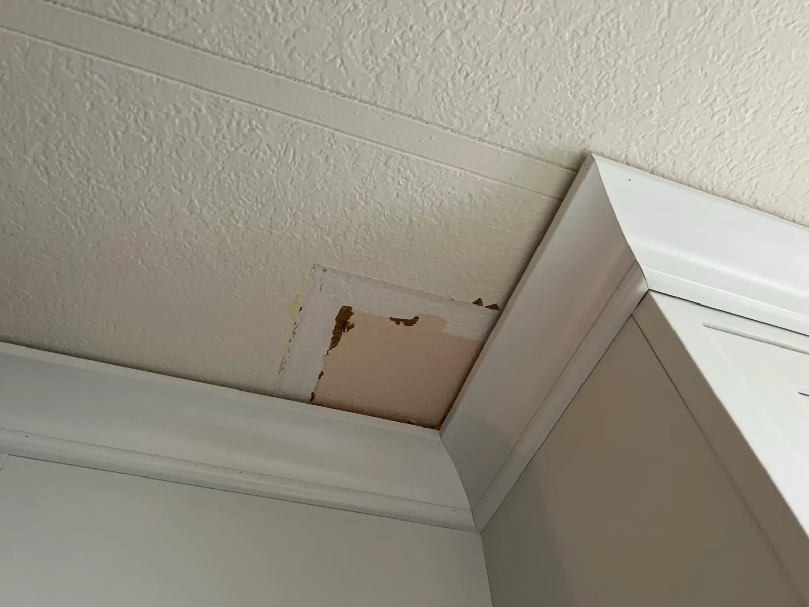 Cabinet trim and finish detail 46 during Valle Vista kitchen remodel project by PL Builders