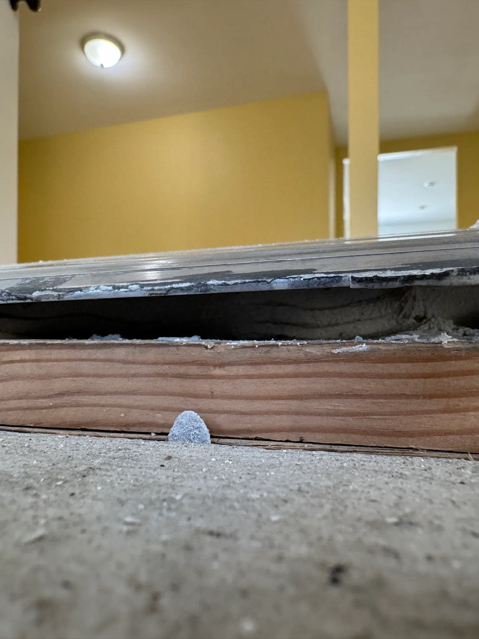 San Jacinto water damage restoration project by PL Builders showing Copper Pipe Water Damage Insurance Repair Support